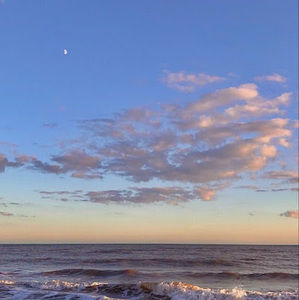 Meet your Posher, Kenzie